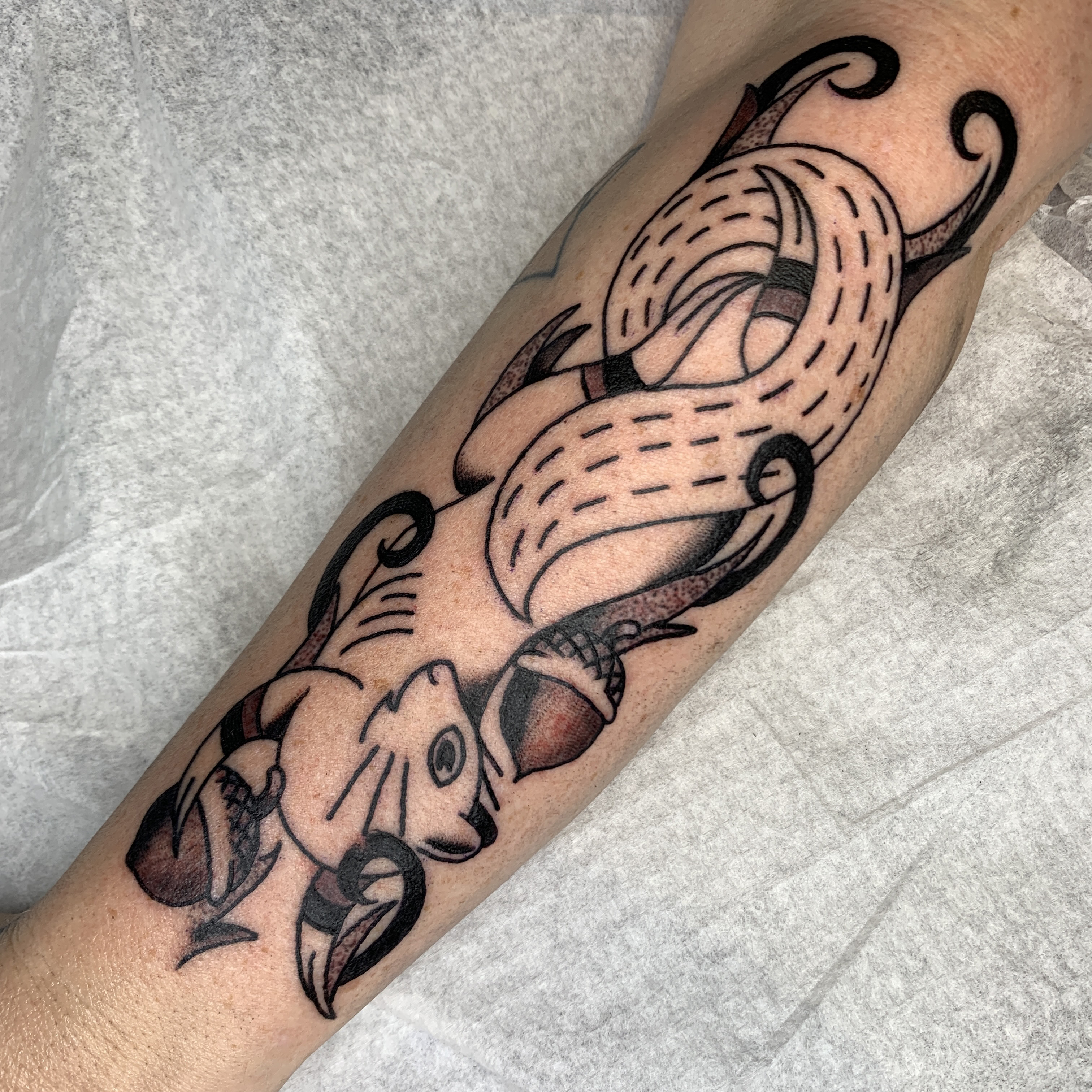 Squirrel Local Ecology Power Sigil Tattoo by Caitlin Drake McKay
